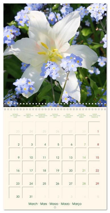 Produktbild: Tulipes charmantes et fra&icirc;ches (Calendrier mural carr&eacute; 2026 30x30 cm) Calendrier double avec une page pour vos prises de notes