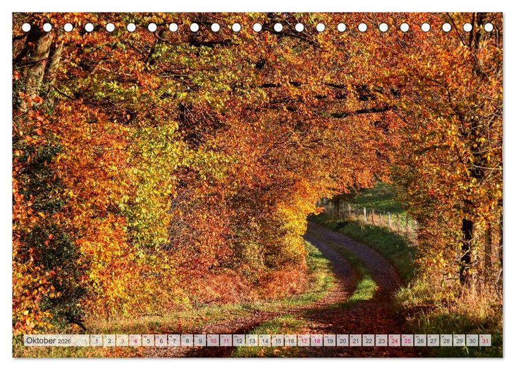 Produktbild: Idyllische Wanderwege im Bergischen Land (Tischkalender 2026 DIN A5 quer), CALVENDO Monatskalender