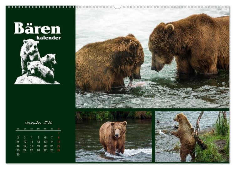 Produktbild: B&auml;renkalender (hochwertiger Premium Wandkalender 2026 DIN A2 quer), Kunstdruck in Hochglanz