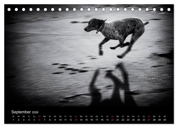 Produktbild: Das Licht in Schwarz und Wei&szlig; (Tischkalender 2026 DIN A5 quer), CALVENDO Monatskalender