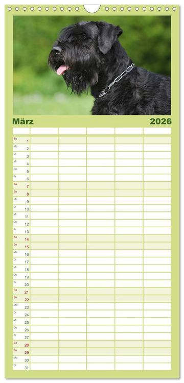 Produktbild: Familienplaner 2026 - Treuer Freund Riesenschnauzer mit 5 Spalten (Wandkalender, 21 x 45 cm) CALVENDO