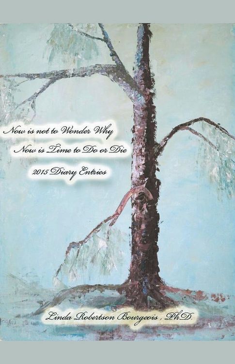 Produktbild: Now is Not to Wonder Why Now is Time to Do or Die 2015 Diary Entries