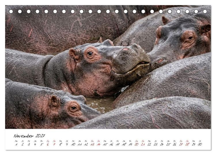Produktbild: Better Together - Herdenmomente (Tischkalender 2027 DIN A5 quer), CALVENDO Monatskalender