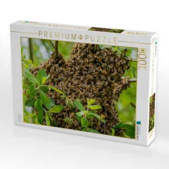 Produktbild: CALVENDO Puzzle Ein Schwarm | 1000 Teile Lege-Gr&ouml;&szlig;e 64x48cm Foto-Puzzle f&uuml;r gl&uuml;ckliche Stunden