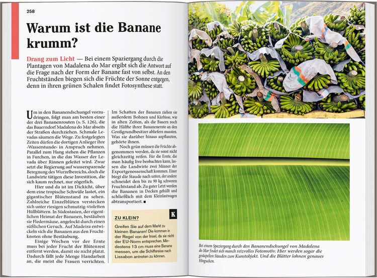 Produktbild: DUMONT Reise-Taschenbuch Reisef&uuml;hrer Madeira