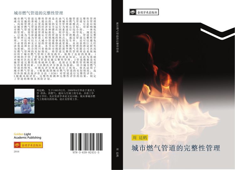 Produktbild: Cheng shi ran qi guan dao de wan zheng xing guan li
