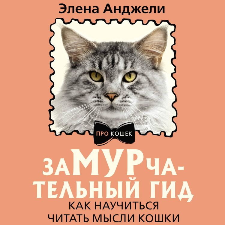 Produktbild: ZaMURchatelnyy gid. Kak nauchitsya chitat mysli koshki