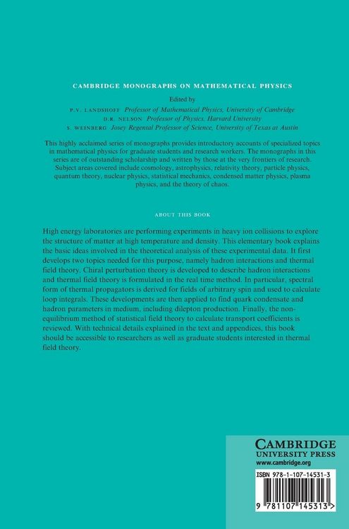 Produktbild: Hadrons at Finite Temperature
