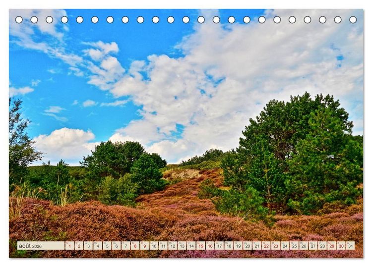 Produktbild: L'Allemagne, tes paysages (Calendrier de bureau 2026 DIN A5 vertical), CALVENDO calendrier mensuel