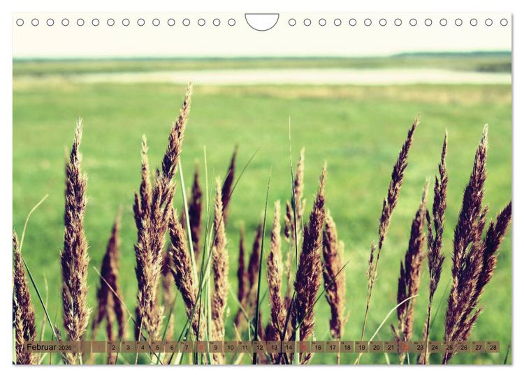 Produktbild: Focus Natur (Wandkalender 2026 DIN A4 quer), CALVENDO Monatskalender