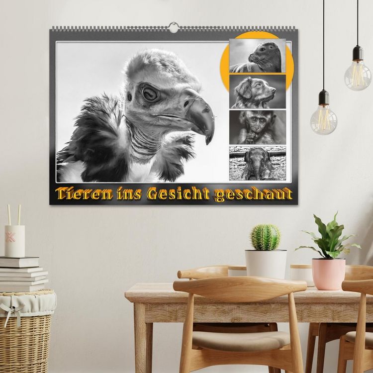 Produktbild: Tieren ins Gesicht geschaut (Wandkalender 2027 DIN A2 quer), CALVENDO Monatskalender