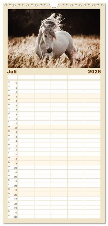 Produktbild: Familienplaner 2026 - Spiegel deiner Seele mit 5 Spalten (Wandkalender, 21 x 45 cm) CALVENDO