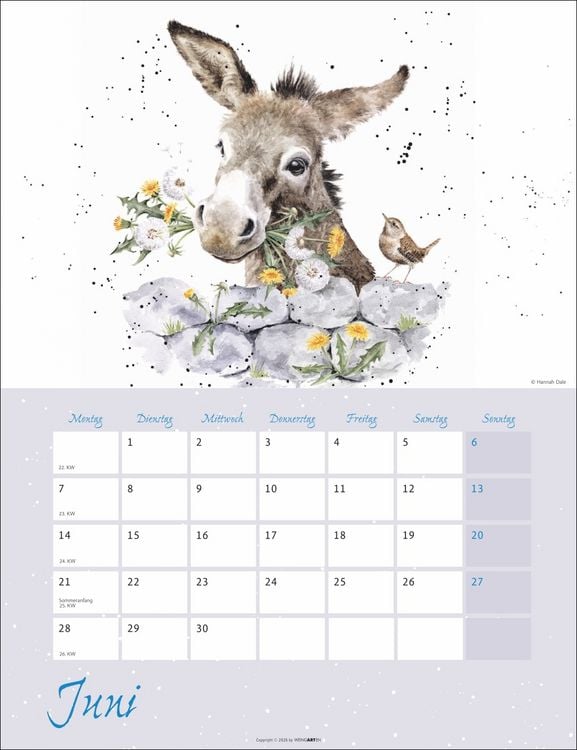 Produktbild: Country Life Kalender 2027