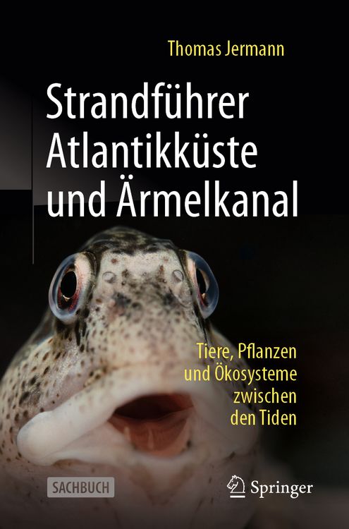 Produktbild: Strandf&uuml;hrer Atlantikk&uuml;ste und &Auml;rmelkanal