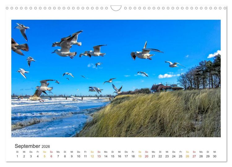 Produktbild: Mecklenburg-Vorpommern - Land zwischen Meer und Seen (Wandkalender 2026 DIN A3 quer), CALVENDO Monatskalender