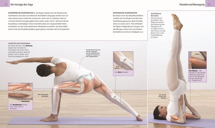 Produktbild: Besser leben mit Yoga