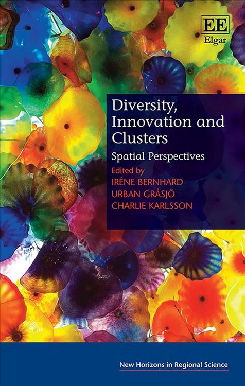 Produktbild: Diversity, Innovation and Clusters