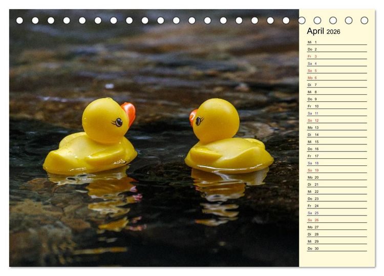 Produktbild: Enten-Rennen (Tischkalender 2026 DIN A5 quer), CALVENDO Monatskalender