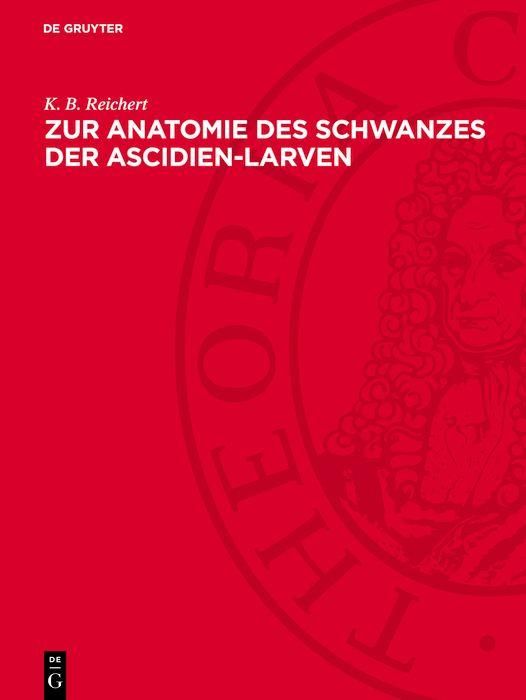 Produktbild: Zur Anatomie des Schwanzes der Ascidien-Larven