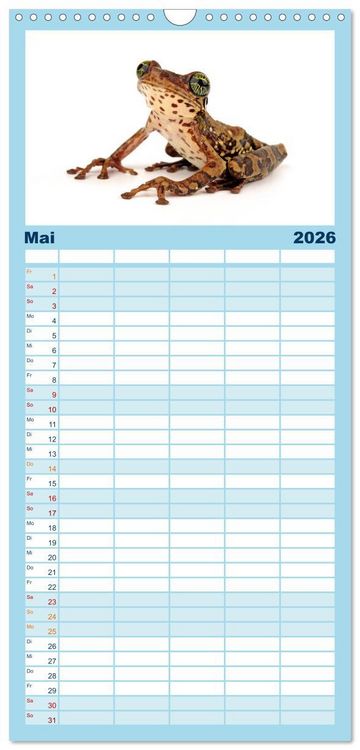 Produktbild: Familienplaner 2026 - Farbenpracht der Fr&ouml;sche mit 5 Spalten (Wandkalender, 21 x 45 cm) CALVENDO
