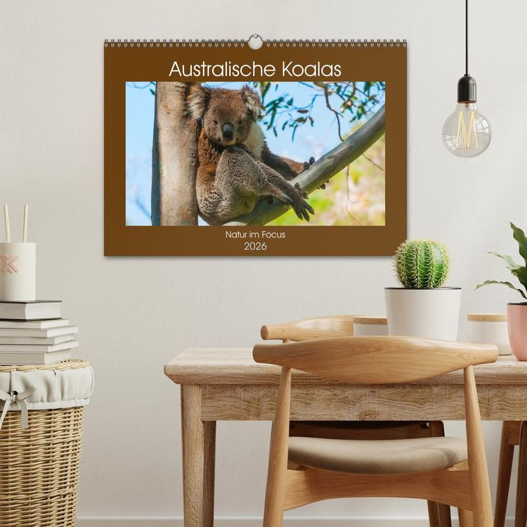Produktbild: Australische Koalas (Wandkalender 2026 DIN A3 quer), CALVENDO Monatskalender