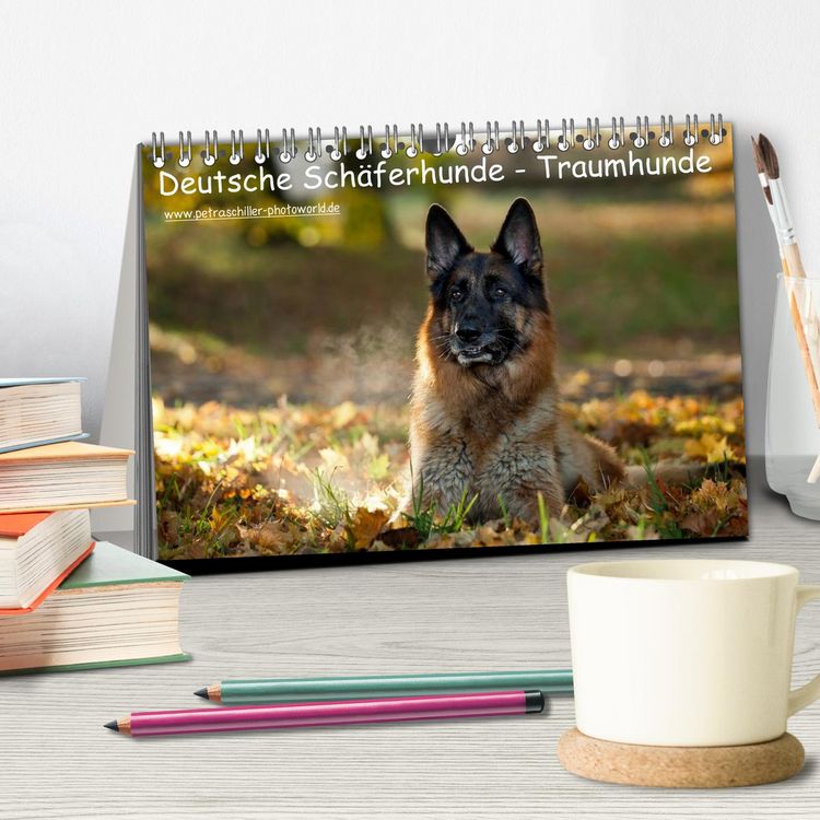 Produktbild: Deutsche Sch&auml;ferhunde - Traumhunde (Tischkalender 2026 DIN A5 quer), CALVENDO Monatskalender