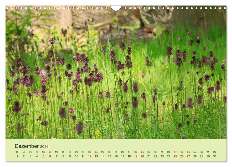 Produktbild: Wilde Blumen - ein Spaziergang durch die Natur (Wandkalender 2026 DIN A3 quer), CALVENDO Monatskalender