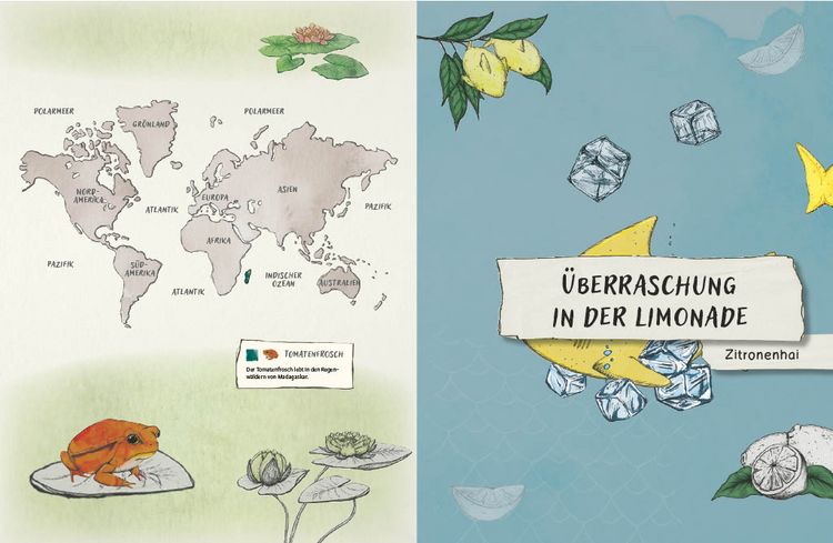 Produktbild: Gespenstfledermaus, Zitronenhai & Co.