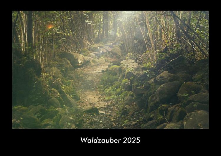 Produktbild: Waldzauber 2025 Fotokalender DIN A3