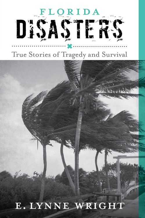 Produktbild: Florida Disasters