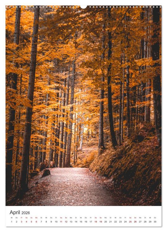 Produktbild: Herbstliches Allg&auml;u (Wandkalender 2026 DIN A2 hoch), CALVENDO Monatskalender