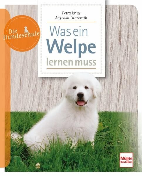 Produktbild: Was ein Welpe lernen muss