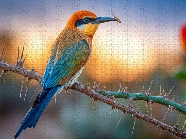 Produktbild: CALVENDO Puzzle Mit sicherem Schnabel wird die Beute pr&auml;sentiert | 1000 Teile Lege-Gr&ouml;&szlig;e 64x48cm Foto-Puzzle f&uuml;r gl&uuml;ckliche Stunden