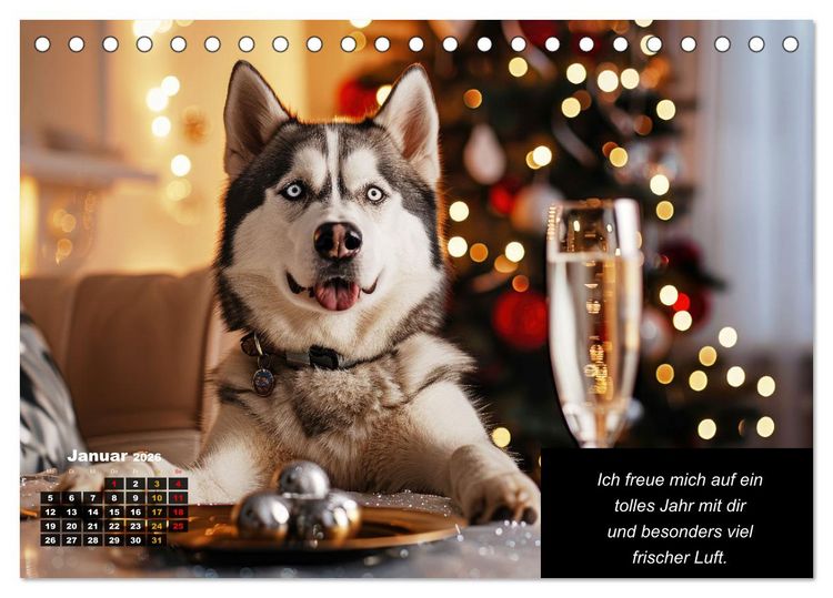 Produktbild: Der tierisch lustige Husky Kalender (Tischkalender 2026 DIN A5 quer), CALVENDO Monatskalender