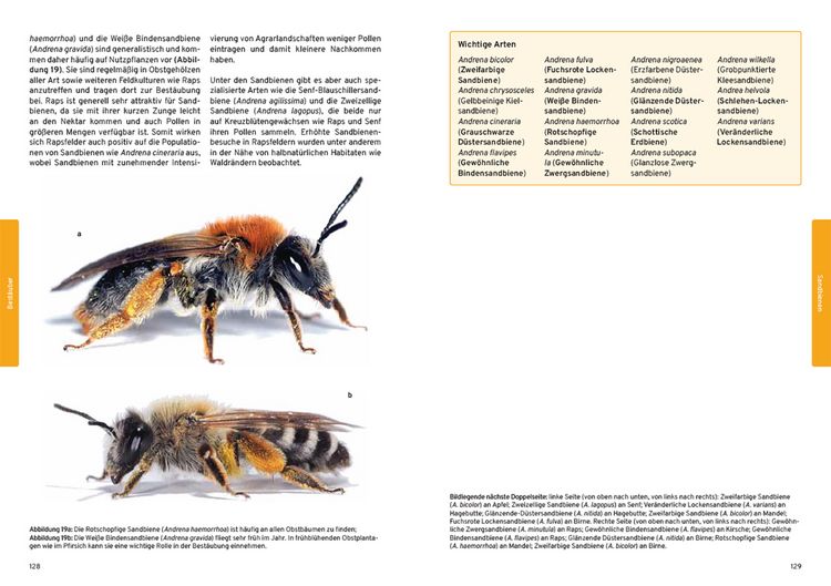 Produktbild: Praxishandbuch Nutzpflanzenbest&auml;ubung