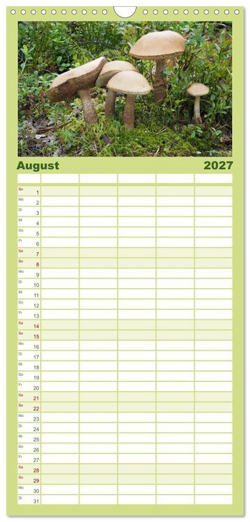 Produktbild: Familienplaner 2027 - Pilze - tolle Funde mit 5 Spalten (Wandkalender, 21 x 45 cm) CALVENDO
