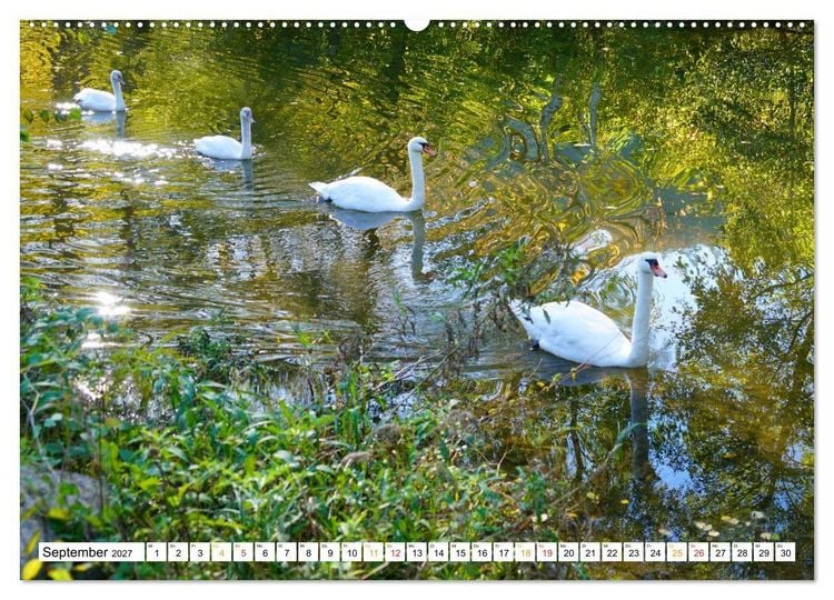 Produktbild: 12 Monate Natur (Wandkalender 2027 DIN A2 quer), CALVENDO Monatskalender