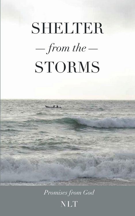 Produktbild: Shelter From the Storms; Promises from God
