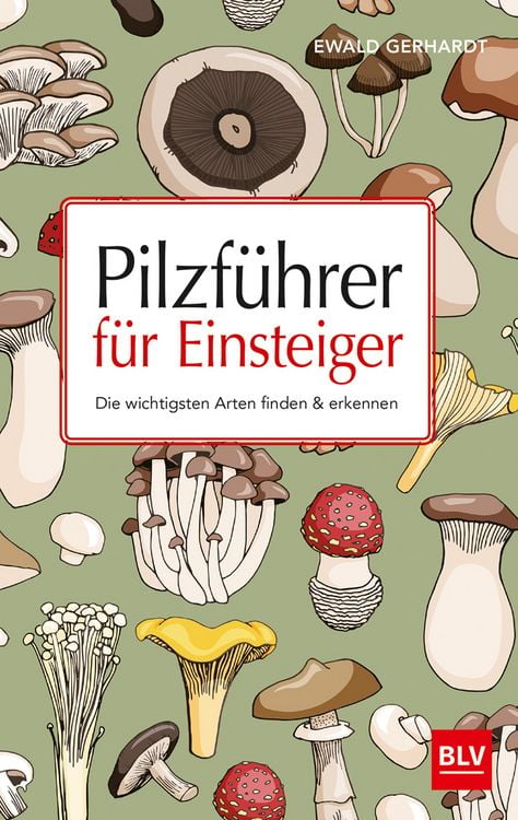 Produktbild: Pilzf&uuml;hrer f&uuml;r Einsteiger