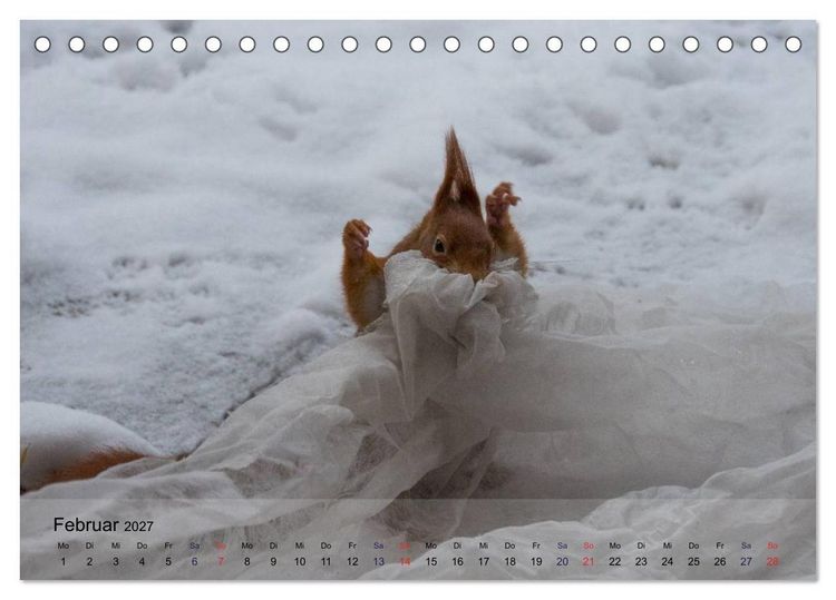 Produktbild: Spa&szlig; mit Eichh&ouml;rnchen! (Tischkalender 2027 DIN A5 quer), CALVENDO Monatskalender