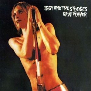 Produktbild: Raw Power
