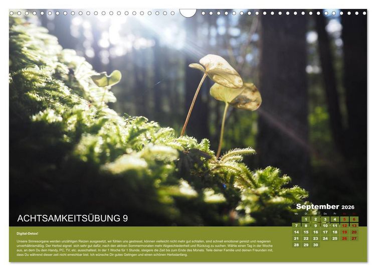 Produktbild: Achtsamkeit, 12 &Uuml;bungen zu mehr Achtsamkeit. (Wandkalender 2026 DIN A3 quer), CALVENDO Monatskalender