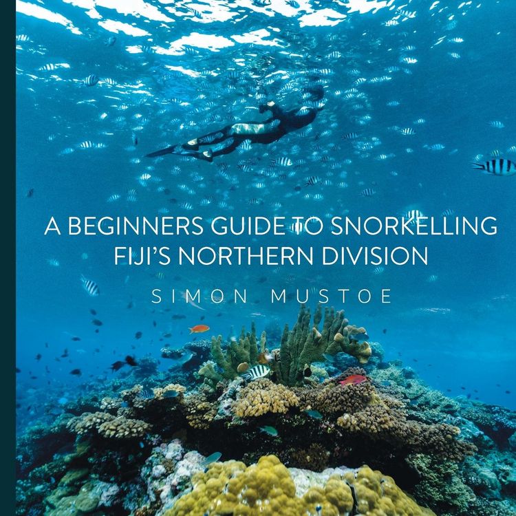 Produktbild: A Beginner's Guide to Snorkelling Fiji's Northern Division