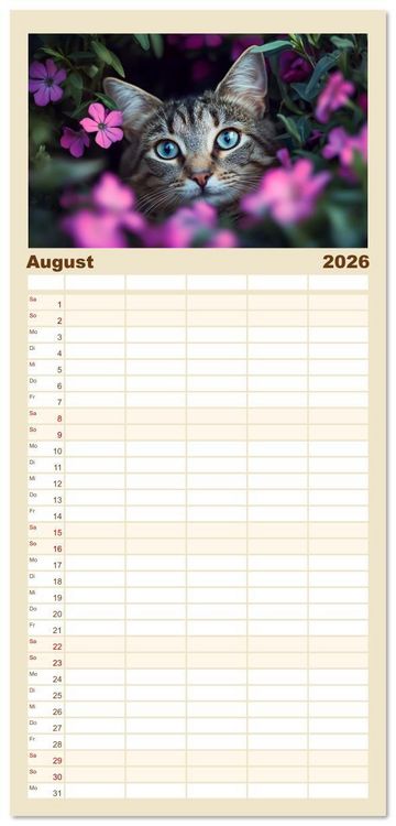Produktbild: Familienplaner 2026 - Katzen - sanfte Sch&ouml;nheiten mit 5 Spalten (Wandkalender, 21 x 45 cm) CALVENDO