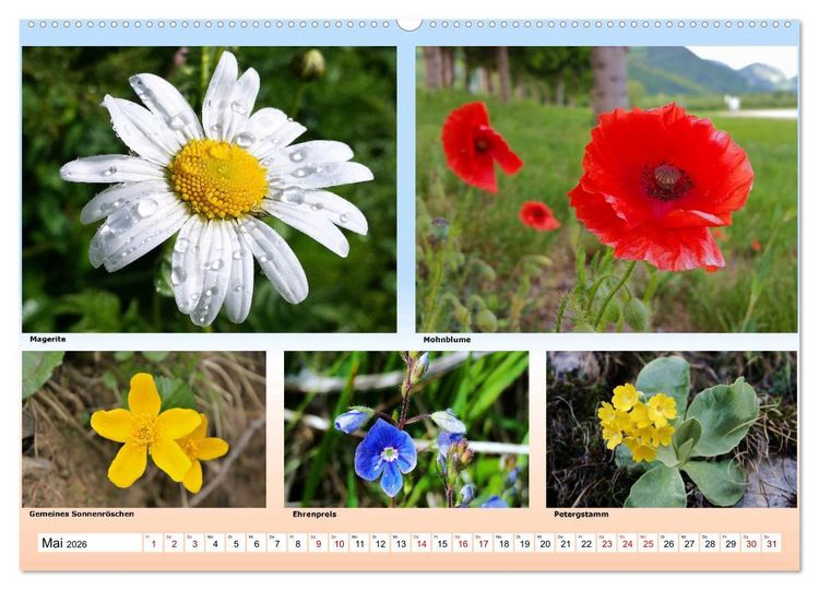Produktbild: Alpiner Bl&uuml;tenzauber (Wandkalender 2026 DIN A2 quer), CALVENDO Monatskalender