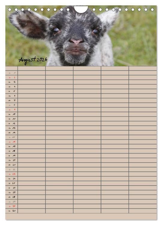 Produktbild: Der bel&auml;mmerte Familienplaner (Wandkalender 2026 DIN A4 hoch), CALVENDO Monatskalender
