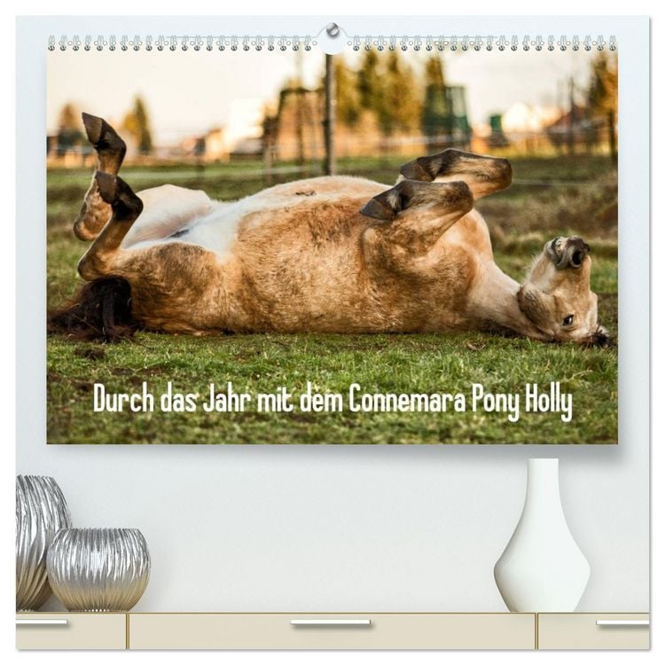 Produktbild: Durch das Jahr mit dem Connemara Pony Holly (hochwertiger Premium Wandkalender 2026 DIN A2 quer), Kunstdruck in Hochglanz