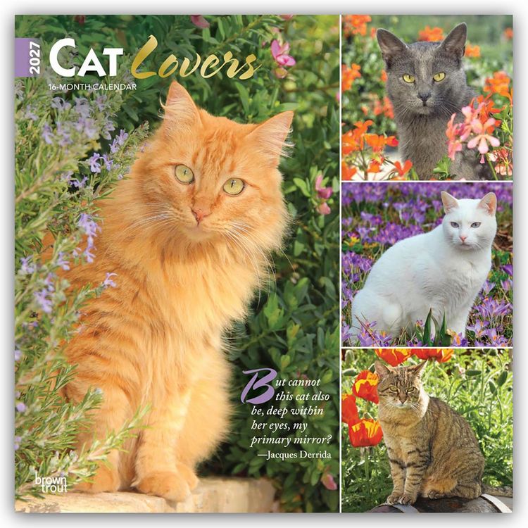 Produktbild: Cat Lovers &ndash; Katzenliebhaber 2027 &ndash; 16-Monatskalender