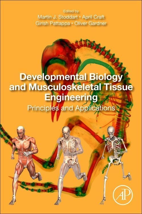 Produktbild: Developmental Biology and Musculoskeletal Tissue Engineering