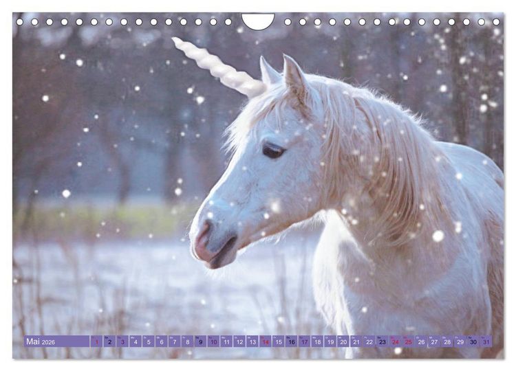 Produktbild: Einhorn Welt - vertr&auml;umte Einhornbilder (Wandkalender 2026 DIN A4 quer), CALVENDO Monatskalender